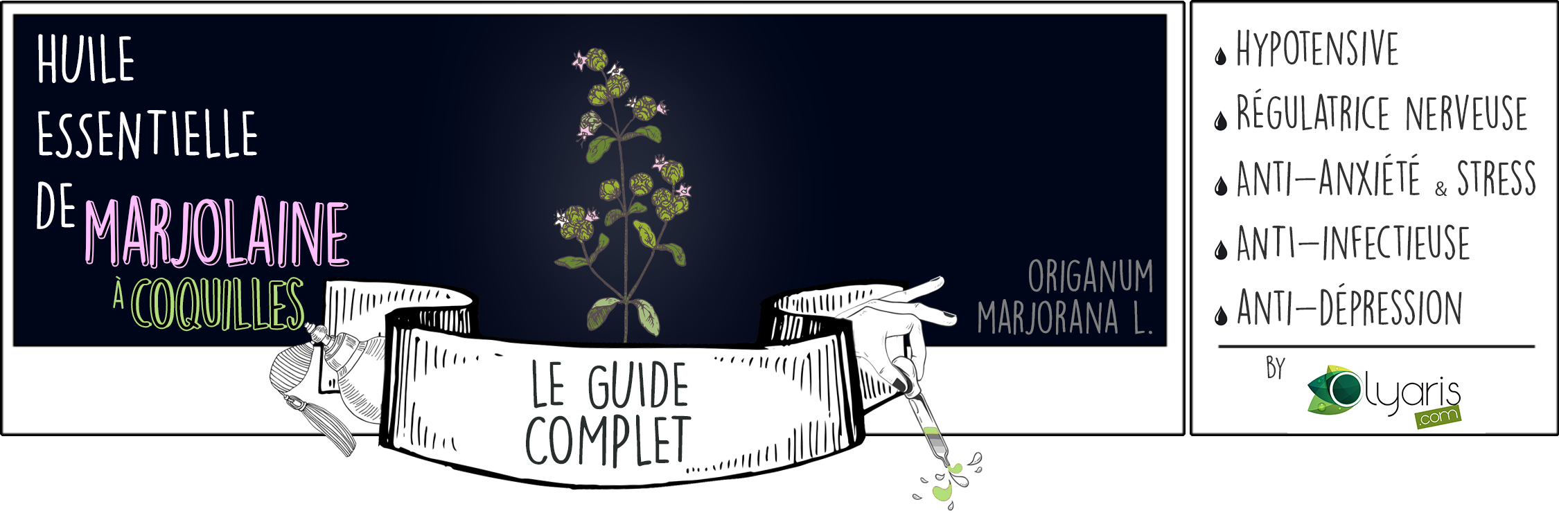 Huile Essentielle de Marjolaine à Coquilles : le Guide Complet par Olyaris